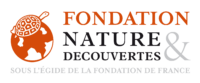 Logo Fondation Netd 2018 Rvb Web