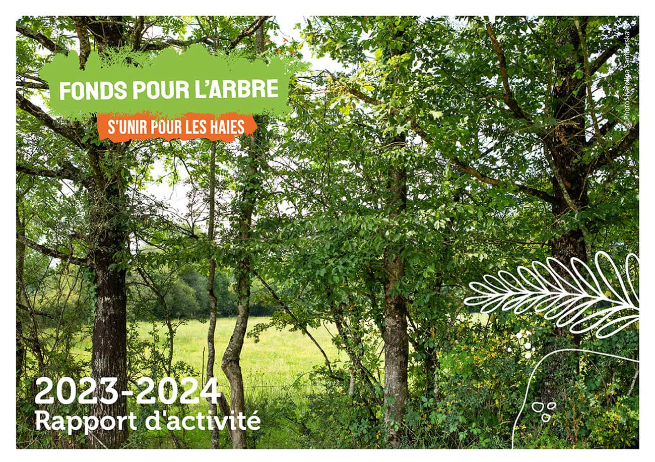 Couverture rapport d'activité 2324