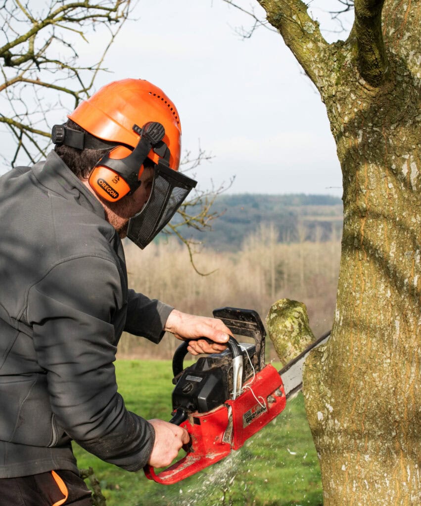 pratiques de gestion Fonds pour l'arbre